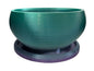 Small Round Succulent and flowers Planter Pot 3.2" Black Shallow Bowl with drainage holes and built in saucer desk or office