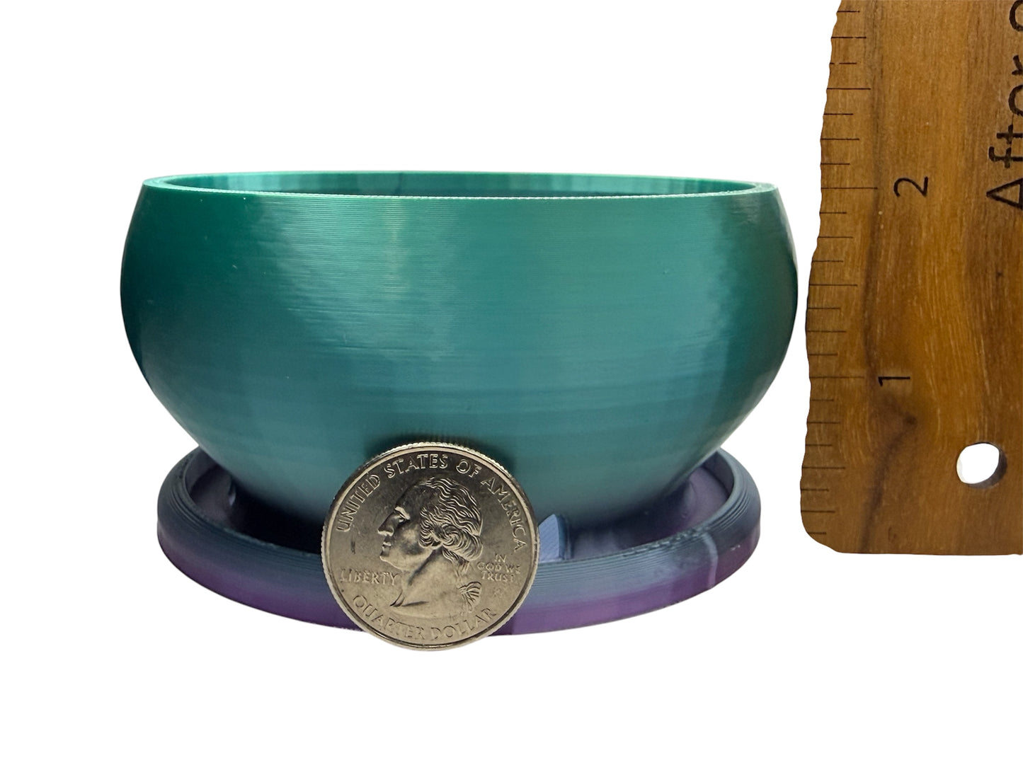 Small Round Succulent and flowers Planter Pot 3.2" Black Shallow Bowl with drainage holes and built in saucer desk or office
