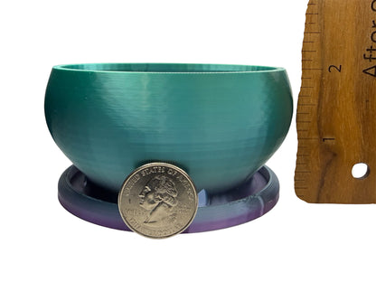 Small Round Succulent and flowers Planter Pot 3.2" Black Shallow Bowl with drainage holes and built in saucer desk or office